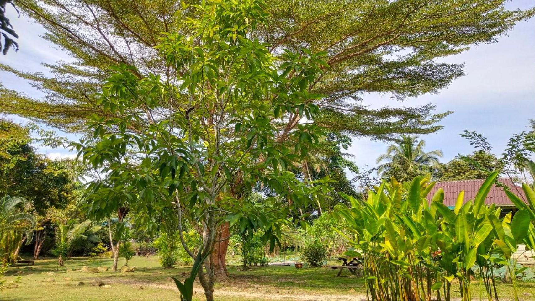 Baan Bua Cottage Sha Extra Plus B5510 Ko Kut Extérieur photo