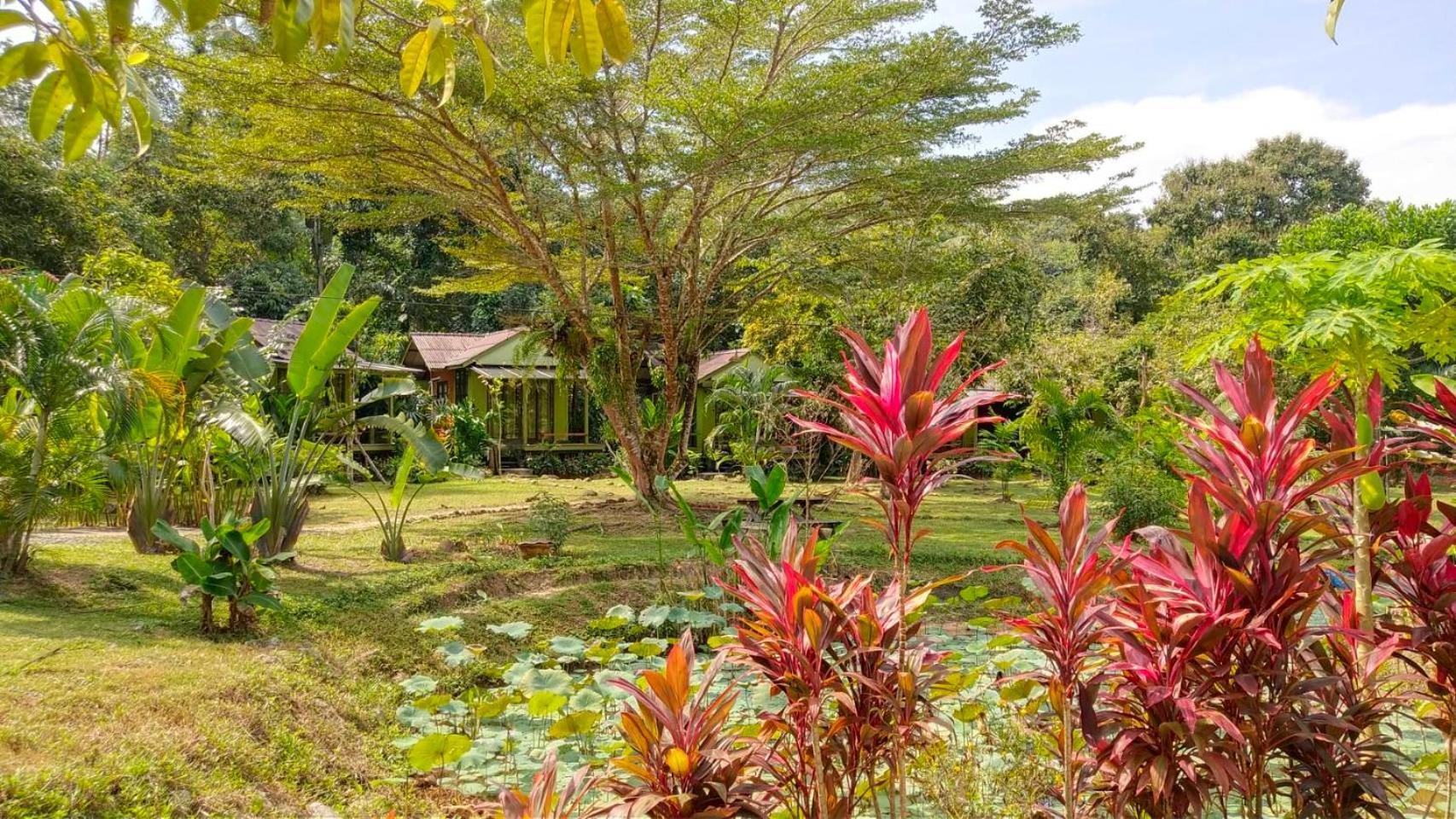 Baan Bua Cottage Sha Extra Plus B5510 Ko Kut Extérieur photo