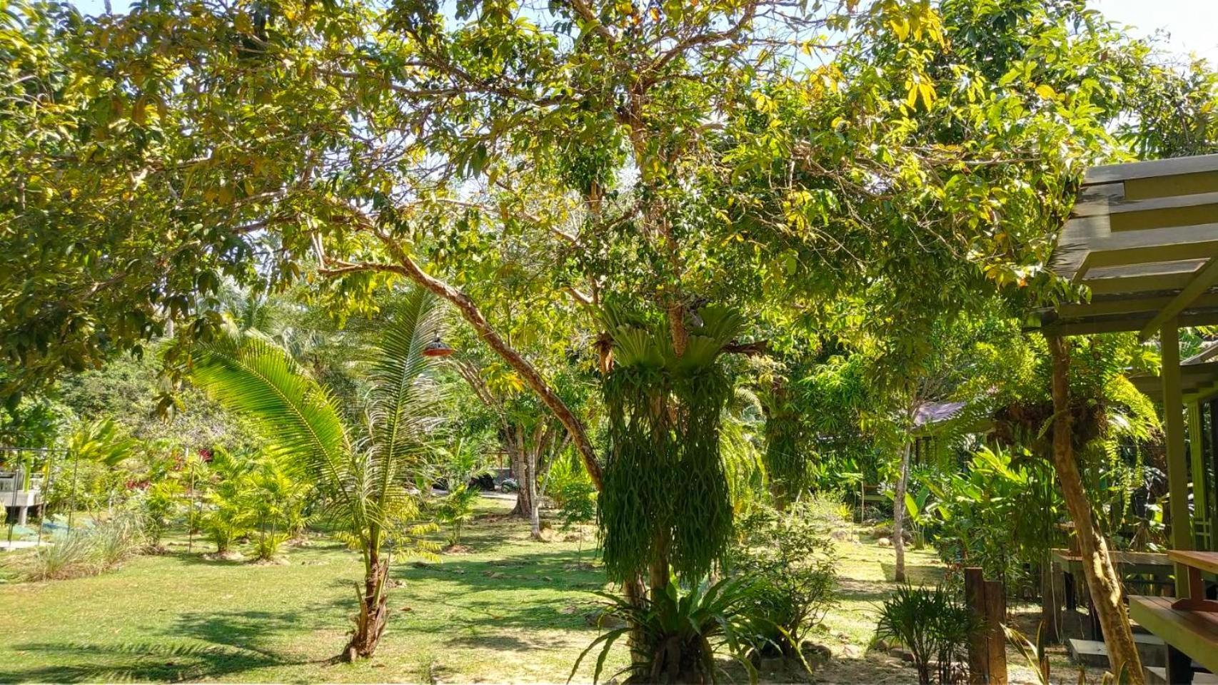 Baan Bua Cottage Sha Extra Plus B5510 Ko Kut Extérieur photo